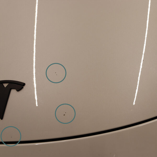 Model 3 Lakbeschermingsfolie PPF voor de motorka