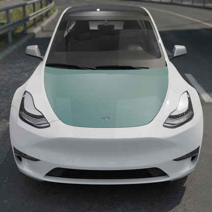Model Y Lakbeschermingsfolie PPF voor de motorka